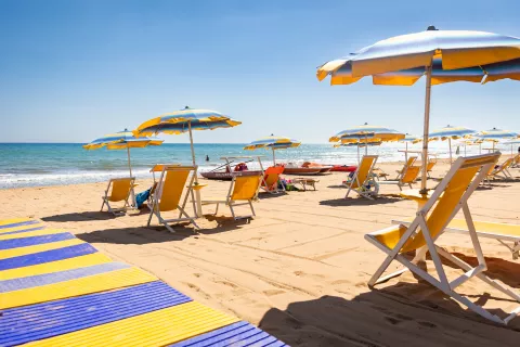 Settimana 1–8 Agosto al Triscinamare