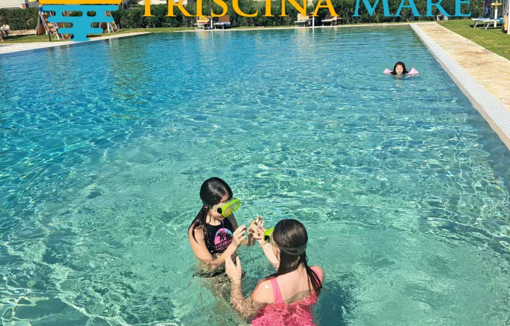 504654276 1158502702956832 4445087296456863165 n