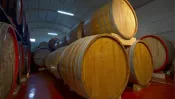 botti vino alagna vini 1