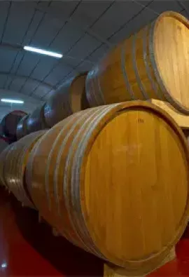botti vino alagna vini 1