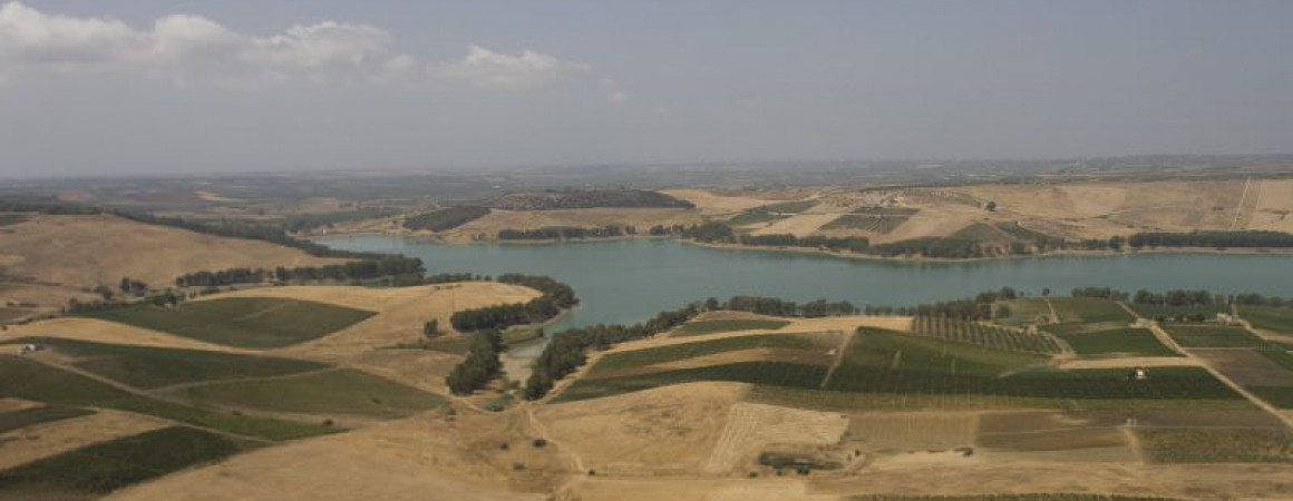 lago delia