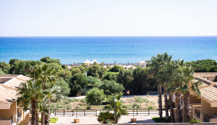 panoramica auto copia 3