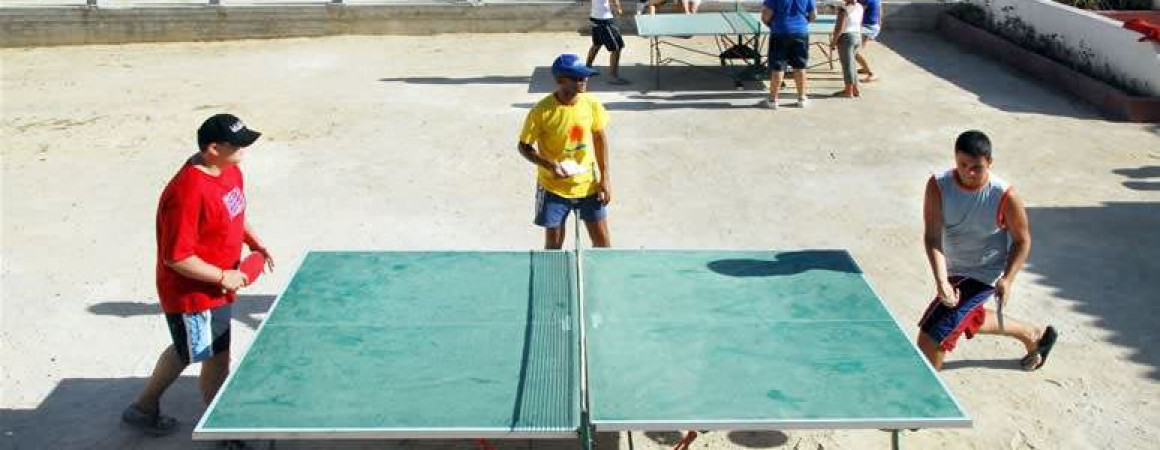 pin pong