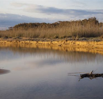 riserva naturale orientale fiume belice castelvetrano