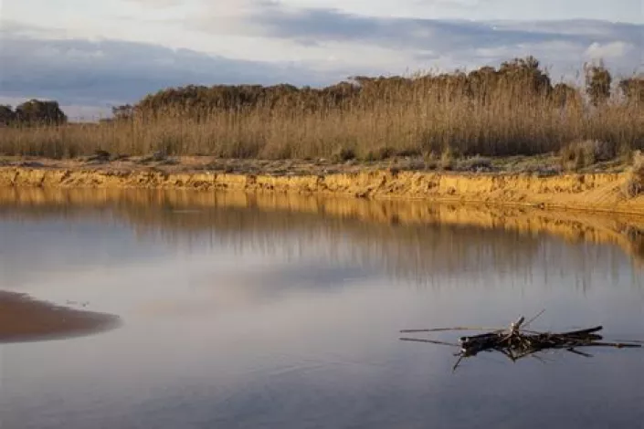 Castelvetrano e Selinunte: cosa vedere e cosa fare la sera