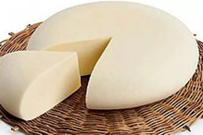 Piatti tipici trapanesi: cosa mangiare assolutamente in provincia di Trapani