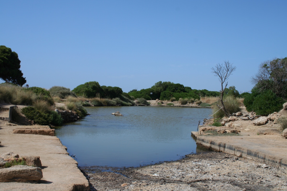 isola di mozia