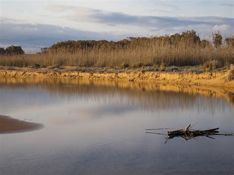 riserva naturale orientale fiume belice castelvetrano